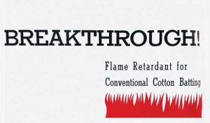 Flame retardant cotton batting