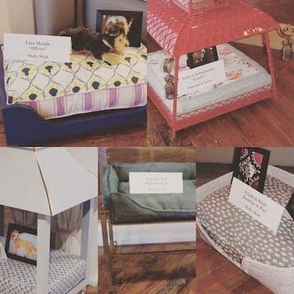 Vispring pet beds layout on bedtimessleepsavvy Instagram account