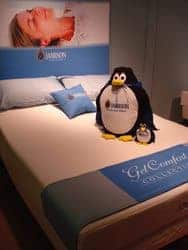 Captain Cool penguin plushies
