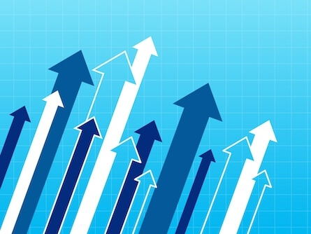 Q2 Improvement in Bedding Market Quarterly Report