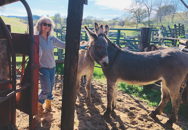 Tambra Jones with her donkeys.