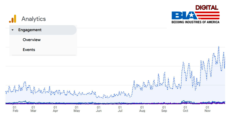 BIA digital consulting program sees 300% increase in page views.