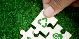 What’s Next For Sustainability? BedTimes New Monthly Section Explores sustainability puzzles pieces