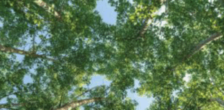 Reducing Greenhouse Gas Emissions Reducing Greenhouse Gas Emissions