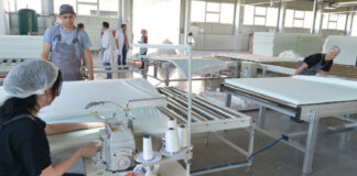 MLILY USA Advances Growth Strategy