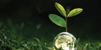 Your Feedback Requested: Help Shape ISPA’s Sustainability Value Chain Map