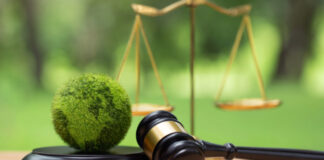 Model Law