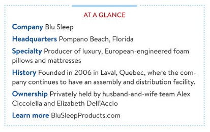 Blu Sleep company profile