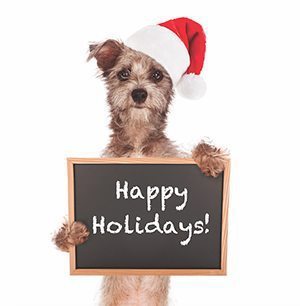 happyholidays_dog This Holiday Season, I am Thankful for the Gift of Co-workers, Readers