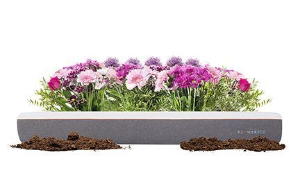 Malouf Mattress - Flowed Bed Blooming on White
