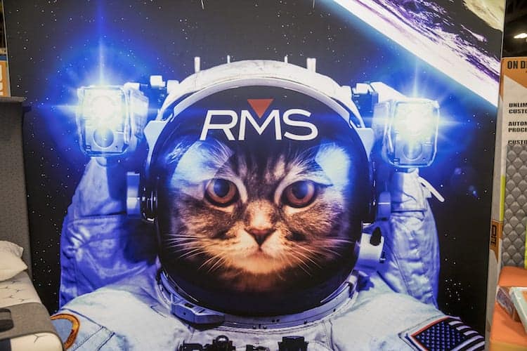 Retail Mattress Solutions cat astronaut