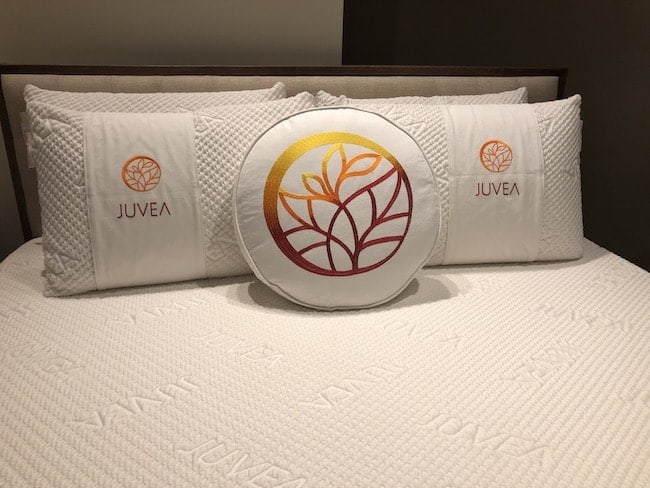 Talalay Global Juvea latex pillows